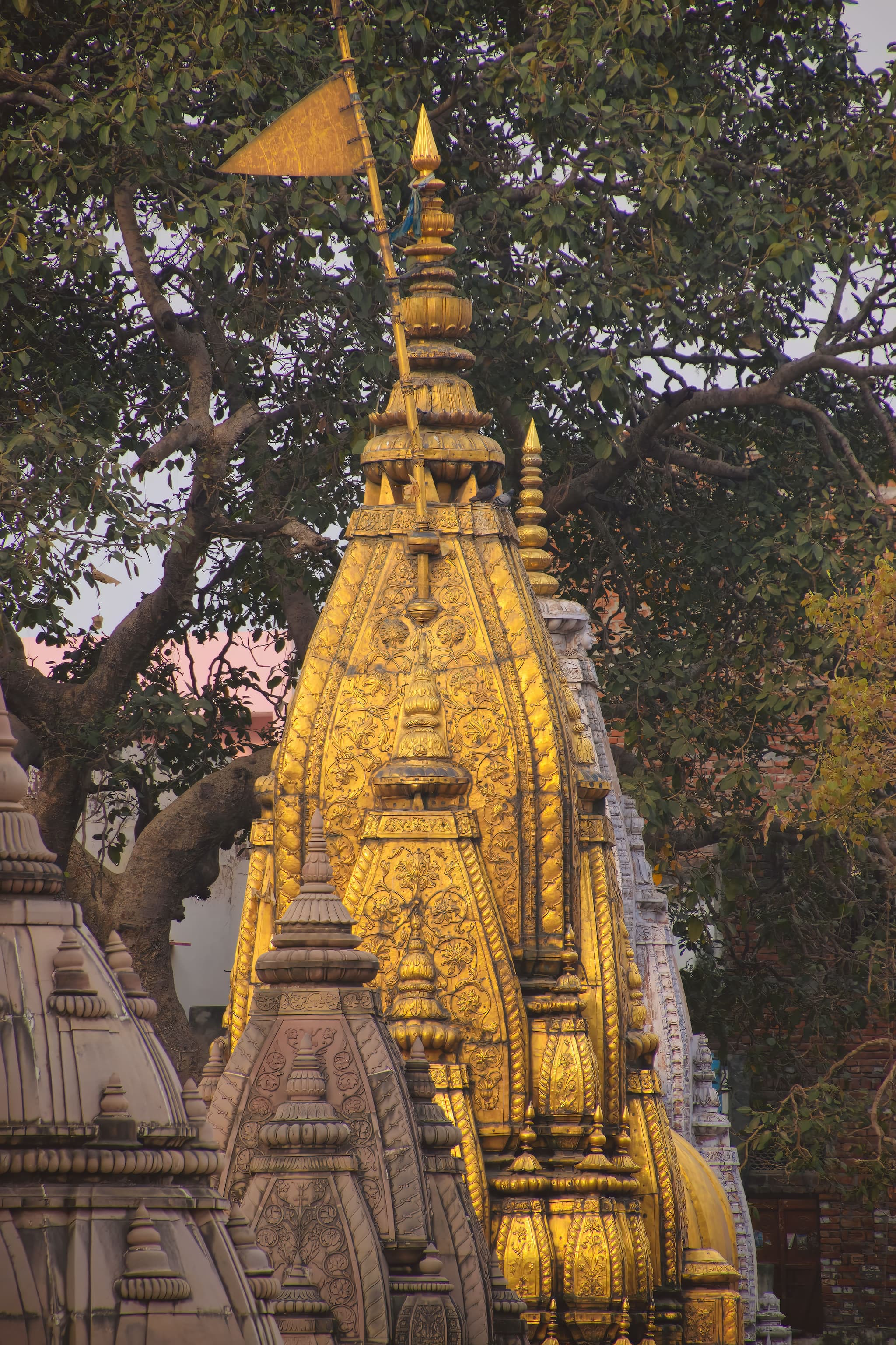 Varanasi, Uttar Pradesh